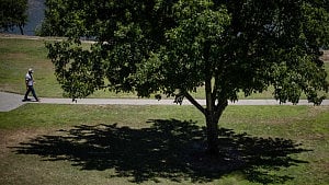 How extreme heat tests public health, safety