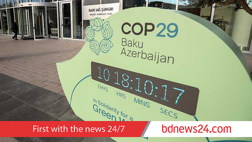 Who are the key voices at the COP29 climate summit?