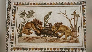 Bite marks reveal gladiator's fatal encounter with lion