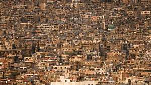 Over a dozen killed in clashes near Syrian capital