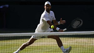 Djokovic becomes part-owner of French club Le Mans