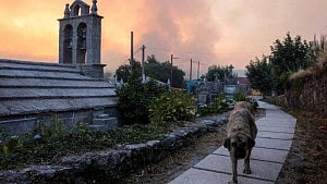 Spain battles 20 major wildfires