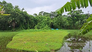 Outsiders in their own land: Even Rakhine dead aren’t spared