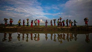 Rohingya plight worsened over 8 years: UN