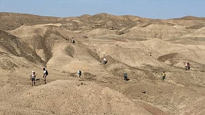 Ethiopian fossils reveal new species in human evolution