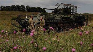 Ukraine should have freedom to decide its future: EU leaders