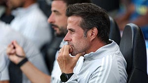 Silva laments Fulham's 'passive' transfer activity