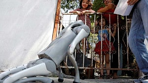 Mexico robot dog teaches kindness