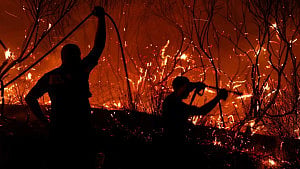 Wildfires fanned by heatwave rage across Europe