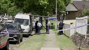 Bondi attack suspect's background emerges
