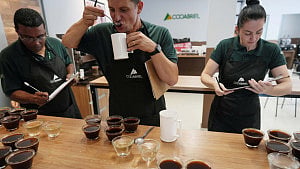 Coca-Cola holds last-ditch talks to salvage Costa Coffee sale