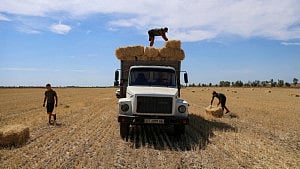 Russian attacks on Ukraine cause drop in food exports