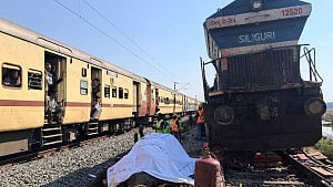 7 elephants killed in India train accident