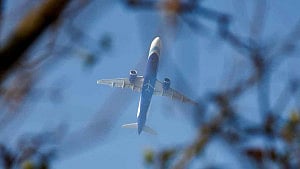 India orders IndiGo to cut flights by 5%