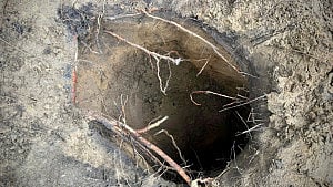 Scores of migrants cross into Poland via hidden tunnel