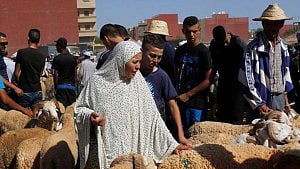 Drought-hit Morocco asks citizens not to slaughter sheep on Eid al-Adha