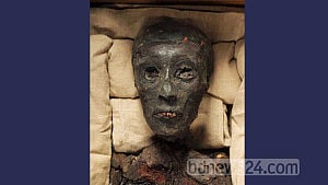 Egypt announces first discovery of pharaoh's tomb