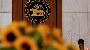 RBI likely intervened to halt rupee's decline: traders
