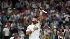 Djokovic hits century to lead veterans into Wimbledon last 16