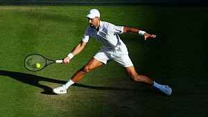 Djokovic reaches 14th Wimbledon semi-final