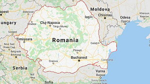 Motorcyclist killed in bear attack on Romanian mountain road