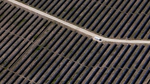 US Senate bill deals big blow to renewable energy