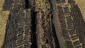 World risks losing $39tn from vanishing wetlands: report