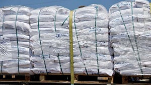 Most flour delivered in Gaza looted: UN