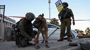 Israel kills two Iranian Revolutionary Guard commanders