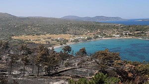 Greece battles wildfire in coastal town near capital