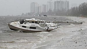 Thousands without power as cyclone Alfred lashes Queensland