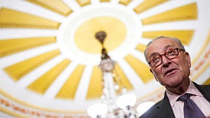 Trump used term Palestinian as slur to Schumer: rights group