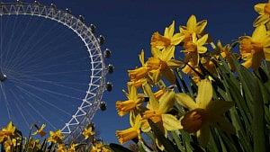 London Eye turns 25