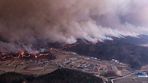 S Korea wildfires kill at least 24