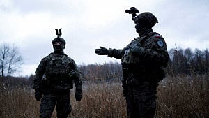 Poland seeks to resume production of anti-personnel mines