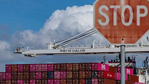 US forced labour probe sparks export concerns