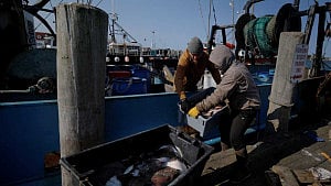 Trump’s regulatory freeze throws US fishing industry into chaos