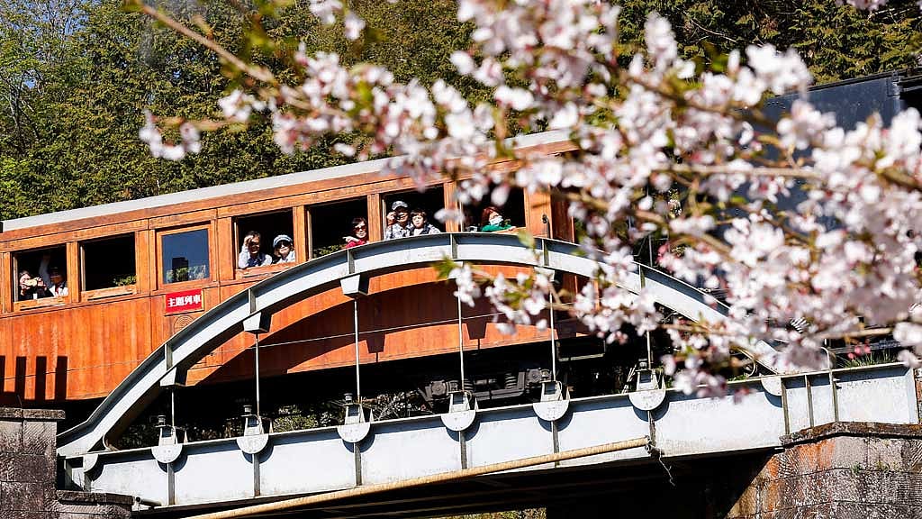 People ride on the special ‘cherry blossoms-themed’ train, with a century-old steam locomotive and open air carriages, at Alishan National Scenic Area in Chiayi, Taiwan Mar 25, 2025. REUTERS/Ann Wang