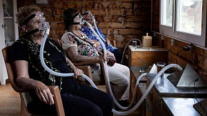 Air from beehives comforts Turkey patients