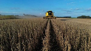 Researcher who helped Brazil's grain boom wins World Food Prize