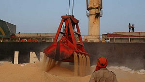 India's soyabean acreage to shrink