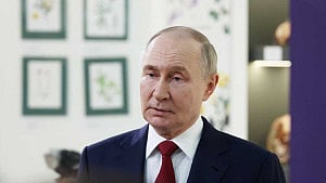 Putin agrees with Trump to work on possible peace accord