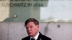 Gaza war cannot be solved by military means: German minister