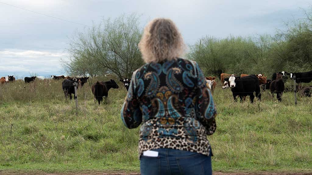 Sandra Palleiro looks at cattle on a farm, in Artigas, Uruguay April 9, 2025. REUTERS