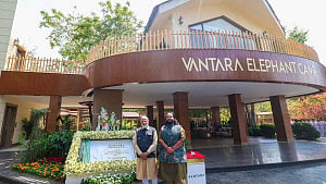 India asks CITES to not curb its animal imports amid Ambani zoo furore