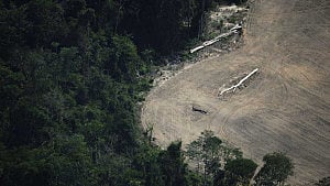 Can COP30 boost frontline resilience?