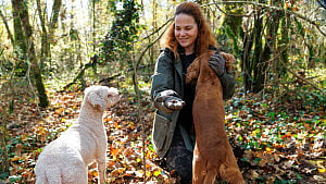 Croatia's truffle hunters pursue world's priciest delicacies