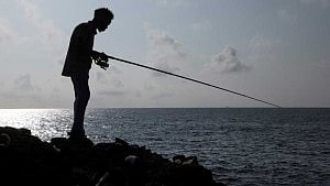 Cuban scientists race to save dinosaur-age fish