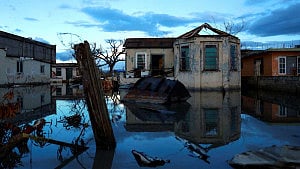 Deadly leptospirosis outbreak in Jamaica after hurricane