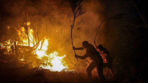 Villagers struggle with Iberian wildfire aftermath